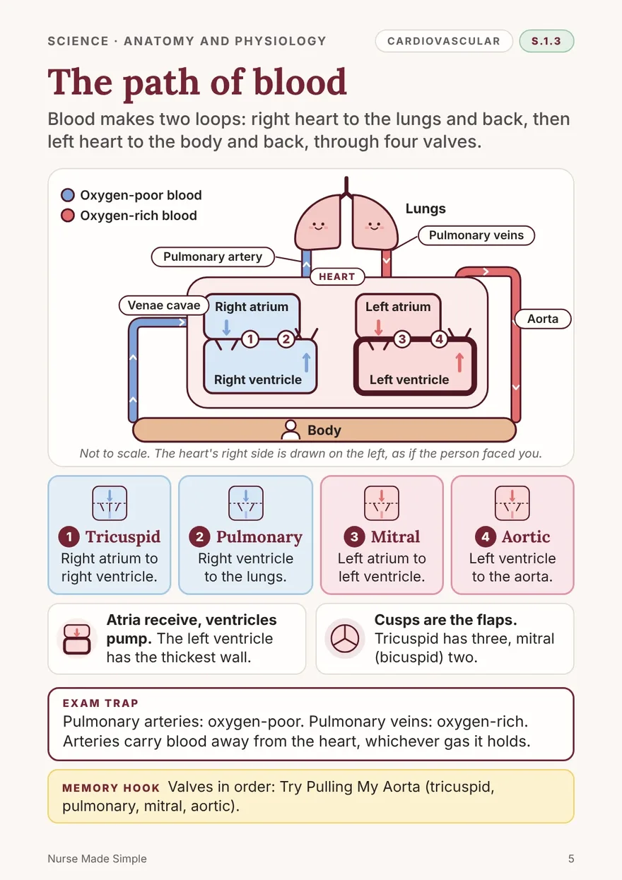 Book 1, page 5: The path of blood, one idea on one page